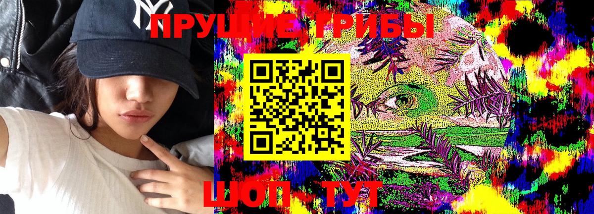 Галлюциногенные грибы GOLDEN TEACHER  Галлюциногенные грибы Cubensis  Вход с VPN  Электрогорск 