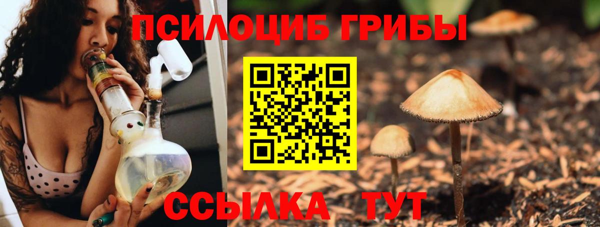 Псилоцибиновые грибы прущие грибы Электрогорск