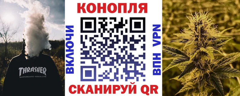 Бошки Шишки OG Kush  продажа наркотиков  Электрогорск 